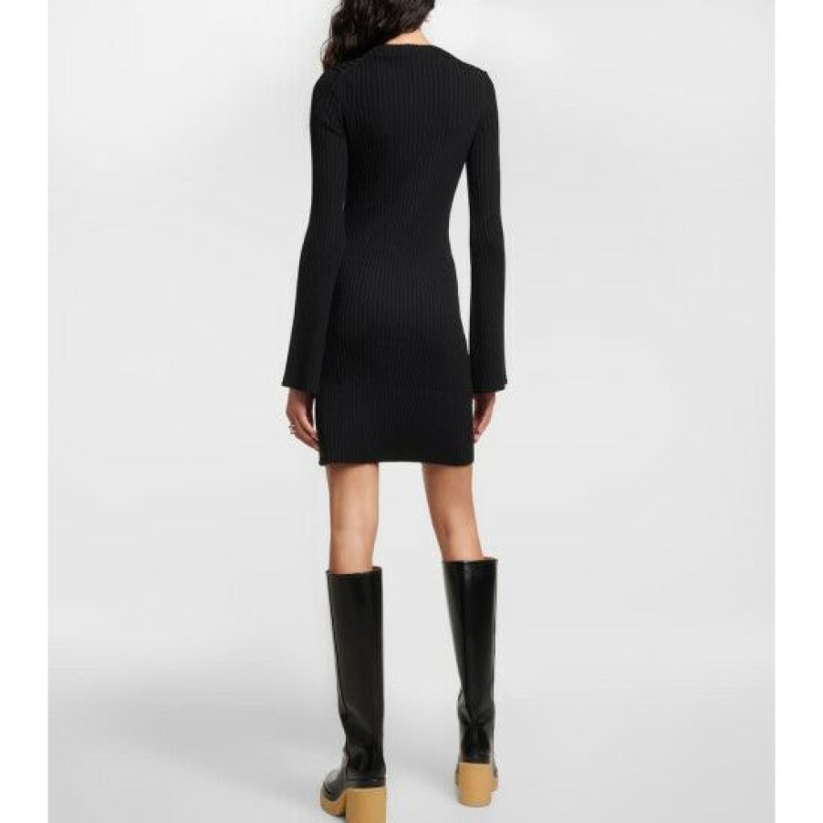 * Chloe Ribbed-Knit Wool And Cashmere Dress Dresses